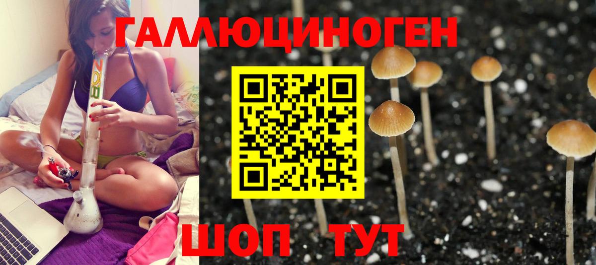 Галлюциногенные грибы Psilocybine cubensis  Вход с VPN  Спасск-Дальний 